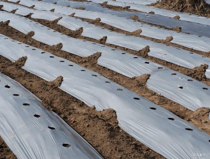 农用薄膜回收利用体系升级 多模式并行破解 “白色污染” 难题