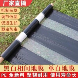 益广塑业厂家 黑白相间地膜 保湿除草膜、 农用黑白双色膜
