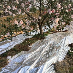 供应银灰反光地膜、渗水地膜、彩色地膜，产品覆盖所有农业种植场景