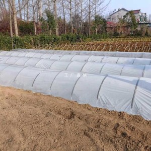 供应小拱棚育苗膜、大田种植膜、果蔬专用膜