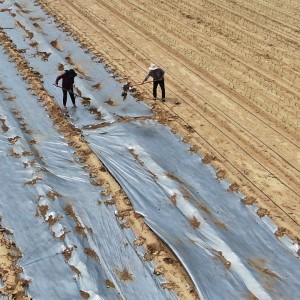 供应大田、果蔬、育苗专用地膜
