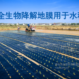 供应生物降解地膜、银灰反光地膜、小拱棚专用地膜