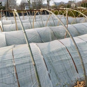 供应小拱棚膜、大棚地膜、育苗营养钵配套膜