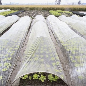 专业农用功能性地膜 西瓜专用膜、草莓专用膜、番茄专用膜
