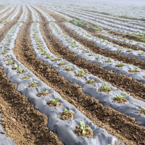 全国供应农用地膜 降解地膜、打孔地膜、小拱棚专用地膜