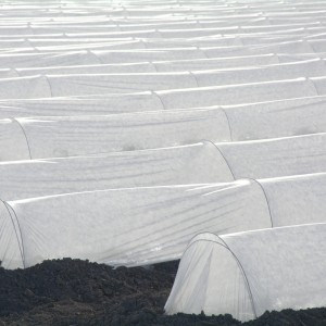 常年供应全系列农用地膜