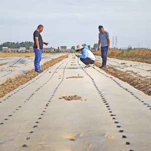 求购各类功能性农用地膜及地膜铺设