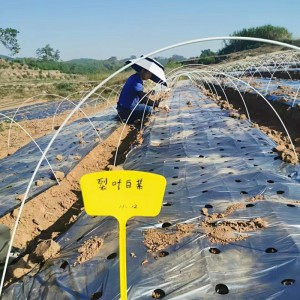 求购环保型农用地膜及地膜相关配套配件