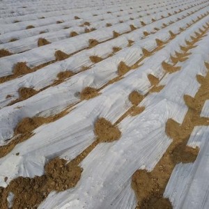 求购除草地膜、保温地膜、渗水地膜